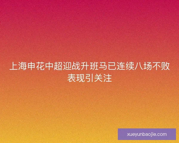 上海申花中超迎战升班马已连续八场不败表现引关注