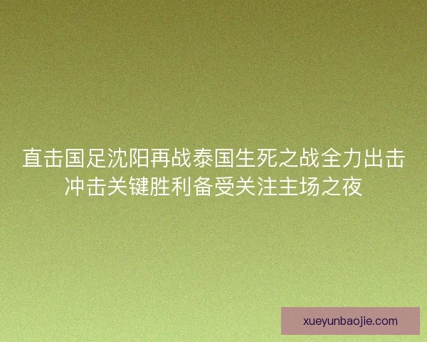 直击国足沈阳再战泰国生死之战全力出击冲击关键胜利备受关注主场之夜