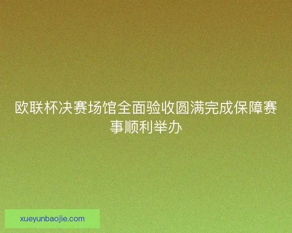 欧联杯决赛场馆全面验收圆满完成保障赛事顺利举办